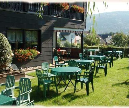 Gasthof Zur Roemervilla Mehring (Rhineland-Palatinate) Exterior foto